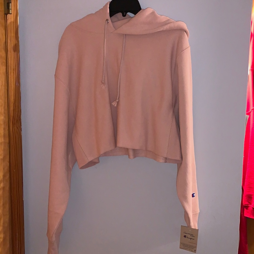 Champion reverse weave hoodie, Size Large, never worn.